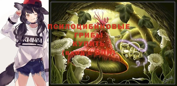 кокаин Гусиноозёрск