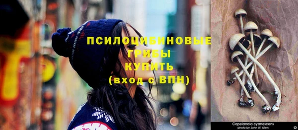 стафф Дмитров