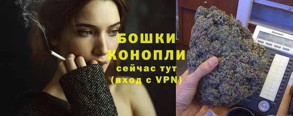 эйфоретик Гусев