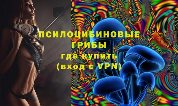 а пвп мука Гусь-Хрустальный