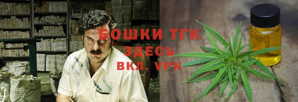 эйфоретик Гусев