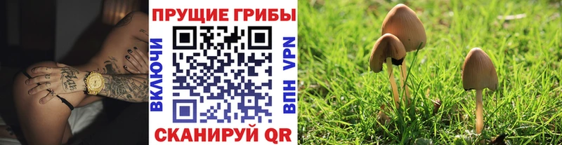 Галлюциногенные грибы MAGIC MUSHROOMS  Серпухов 